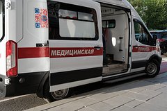 В Москве мужчина попал в больницу после укуса экзотической ядовитой змеи